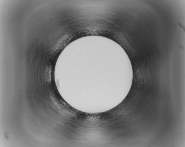 X0000099550694200806131212