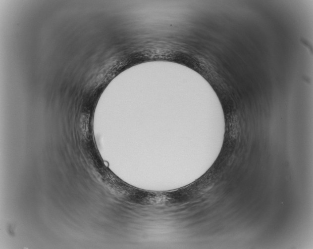 X0000099550695200806131212