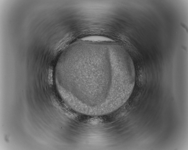 X0000099550696200806131212