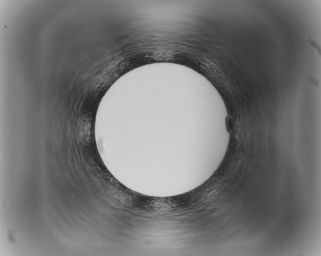 X0000099550697200806131212