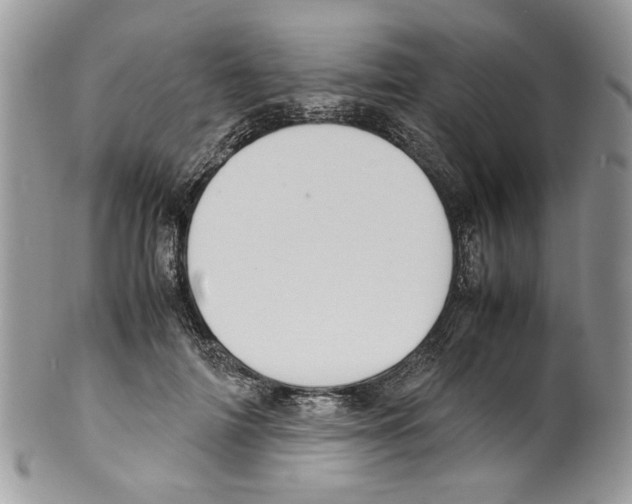 X0000099550698200806131212