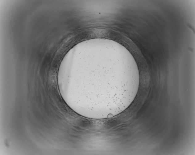 X0000099550701200806131212