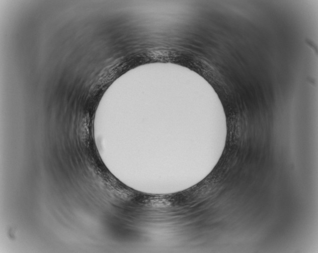 X0000099550702200806131212