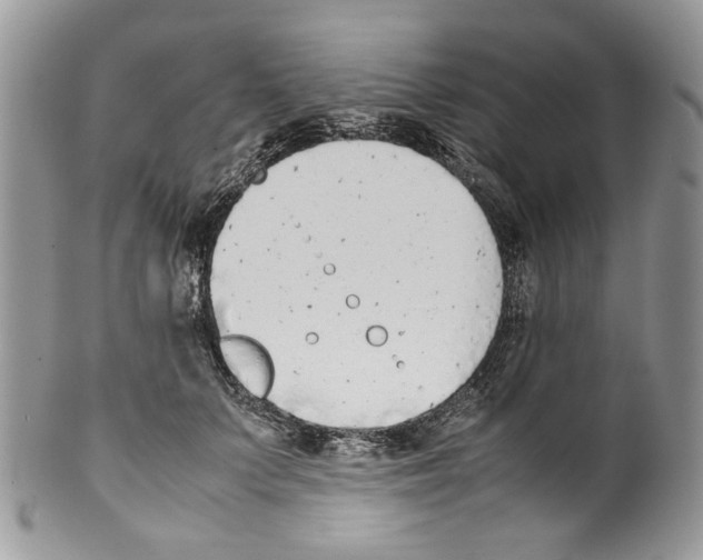 X0000099550703200806131212