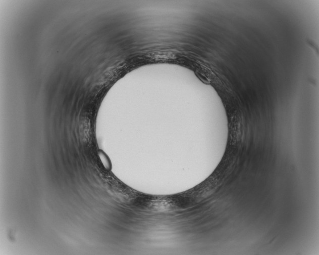 X0000099550704200806131212