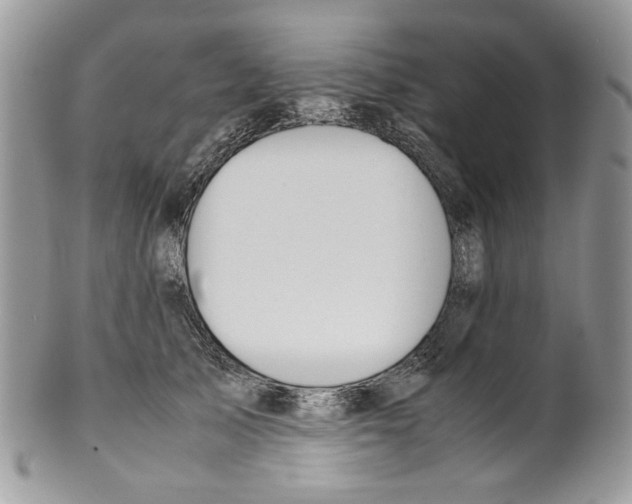 X0000099550705200806131212