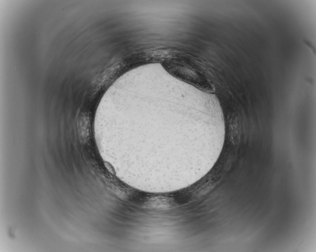 X0000099550708200806131212