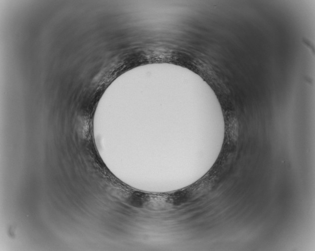 X0000099550709200806131212