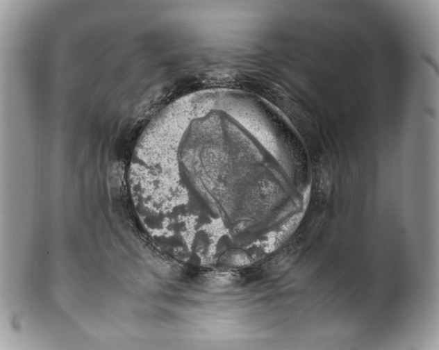 X0000099550711200806131212