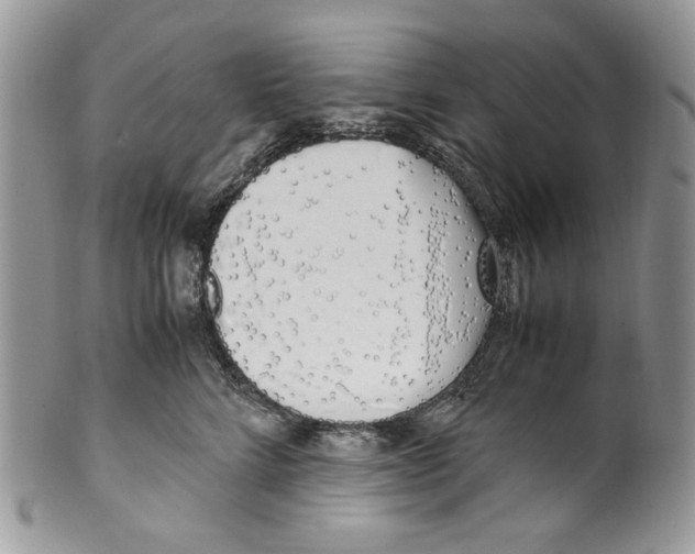 X0000099550712200806131212