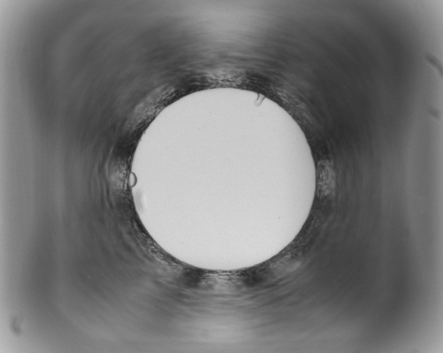 X0000099550713200806131212