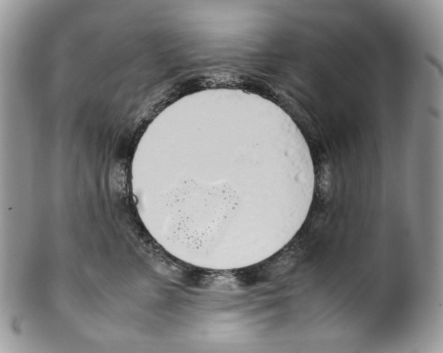 X0000099550715200806131212