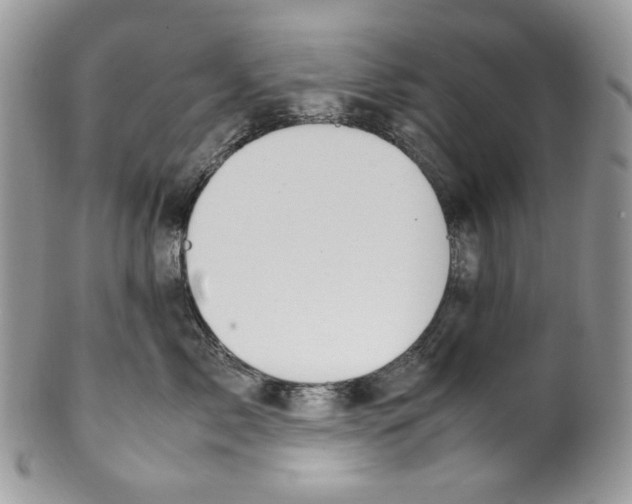 X0000099550717200806131212