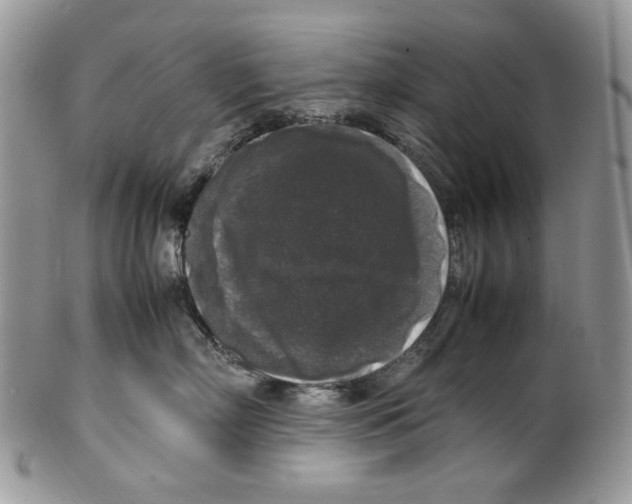 X0000099550718200806131212