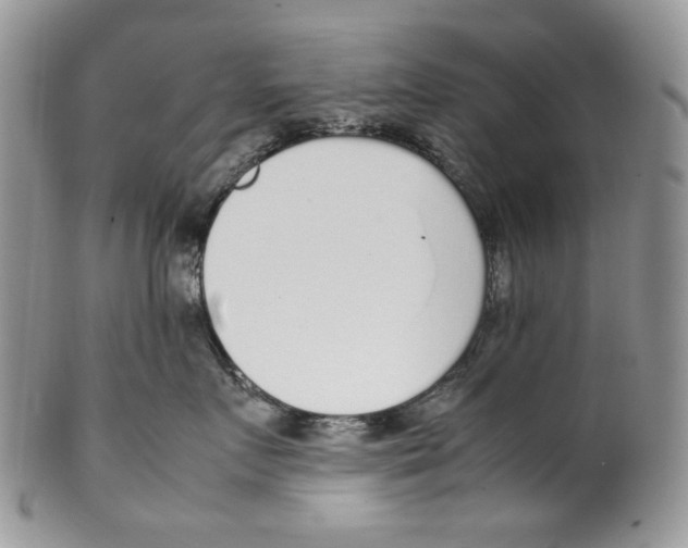 X0000099550719200806131212