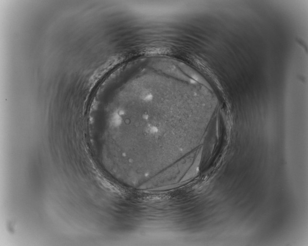 X0000099550721200806131211