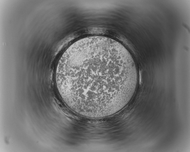 X0000099550723200806131211