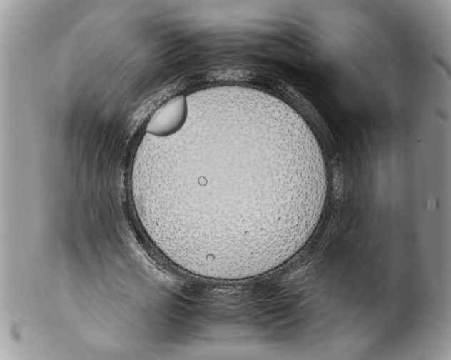 X0000099550725200806131211