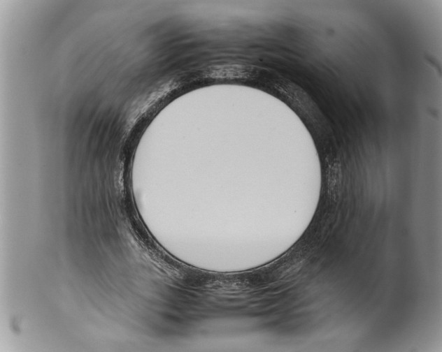 X0000099550727200806131211