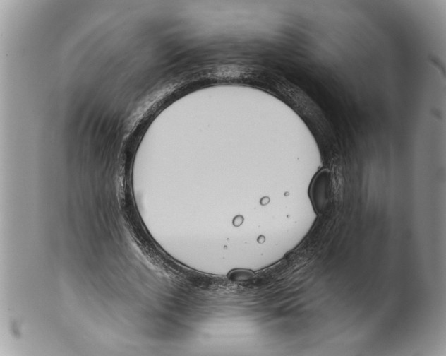 X0000099550728200806131211