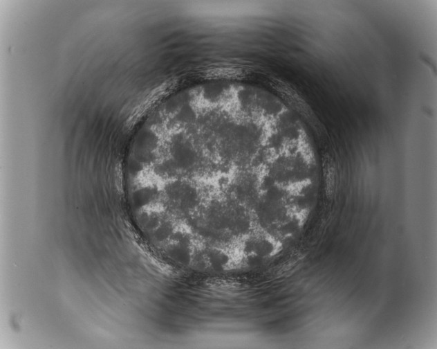 X0000099550729200806131211