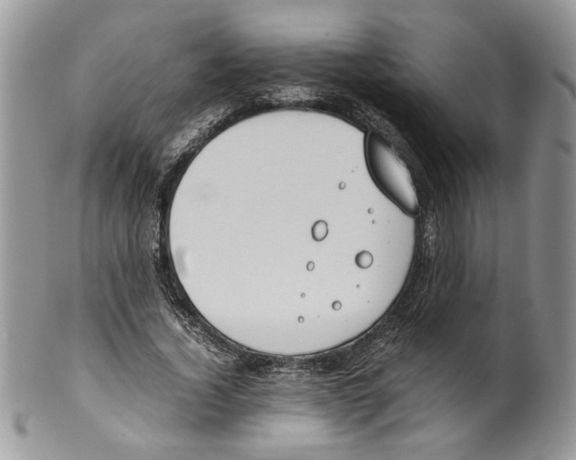 X0000099550732200806131211