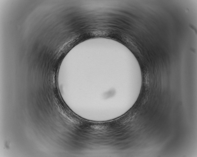 X0000099550733200806131211