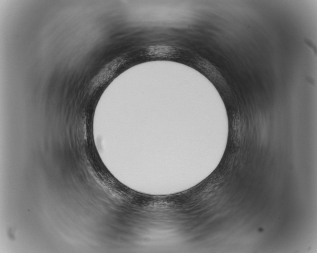 X0000099550734200806131211