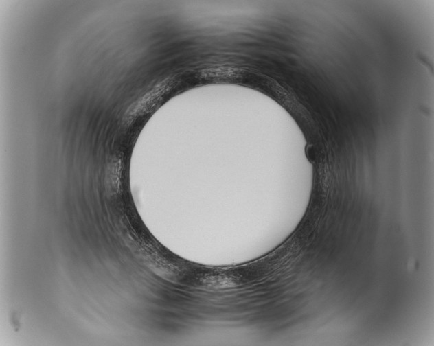 X0000099550735200806131211