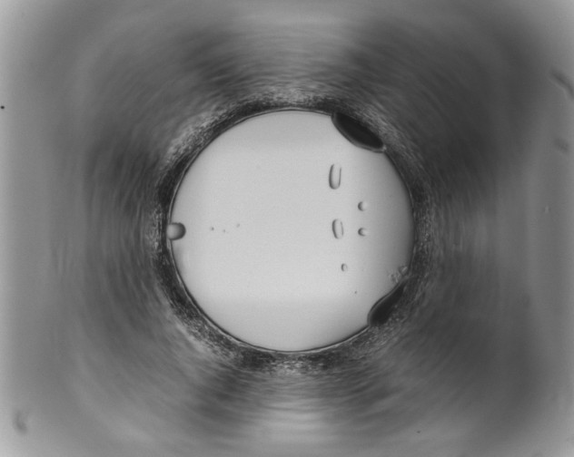 X0000099550736200806131211