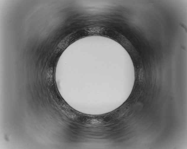 X0000099550737200806131211