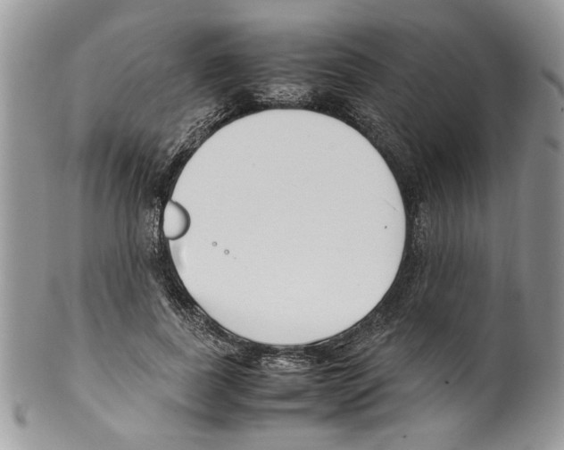 X0000099550739200806131212