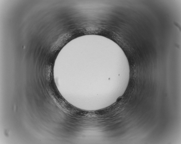 X0000099550742200806131212