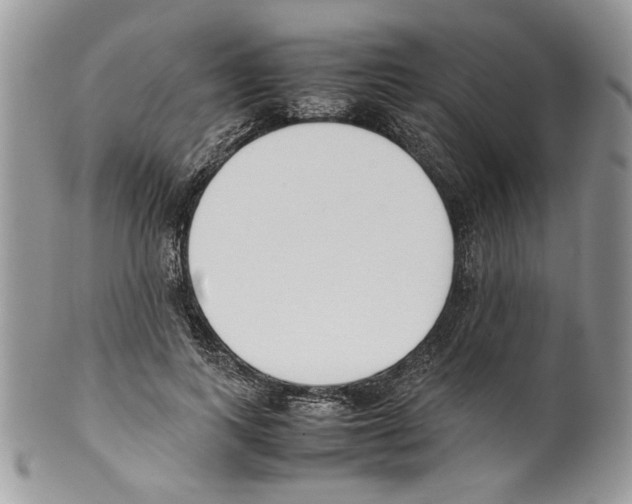 X0000099550743200806131212