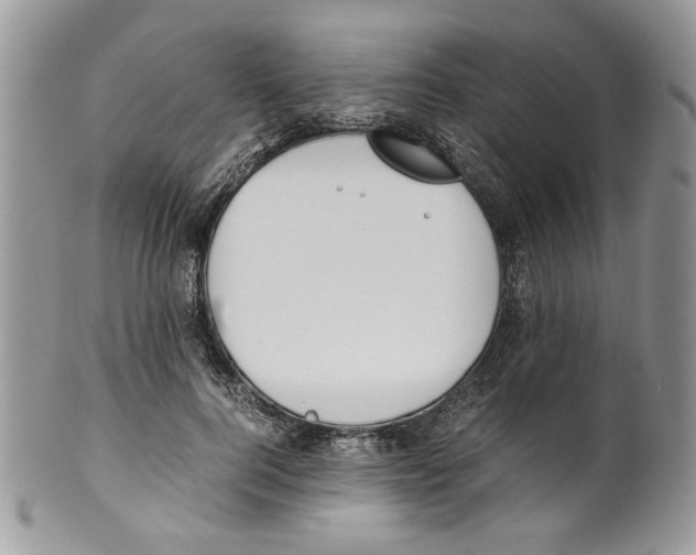 X0000099550744200806131212