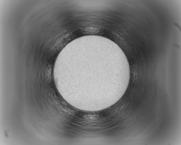 X0000099550745200806131212