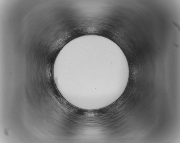 X0000099550746200806131212