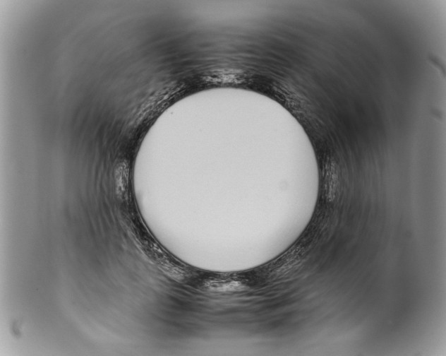 X0000099550747200806131212