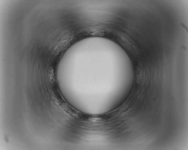 X0000099550748200806131212