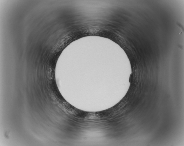 X0000099550750200806131212