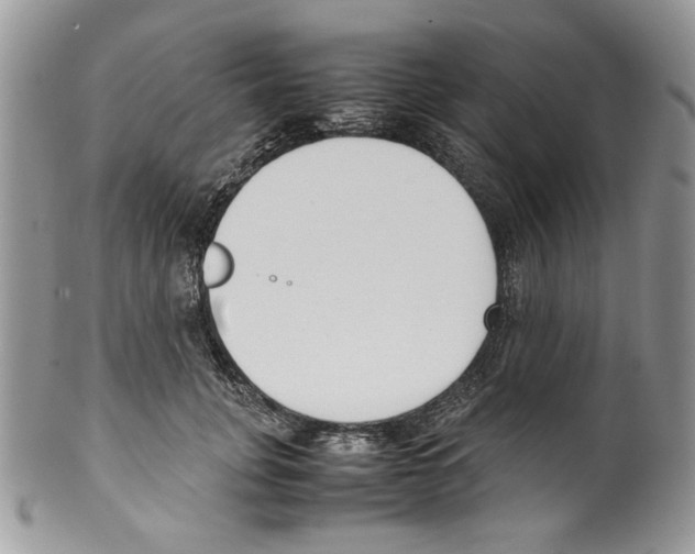 X0000099550751200806131212