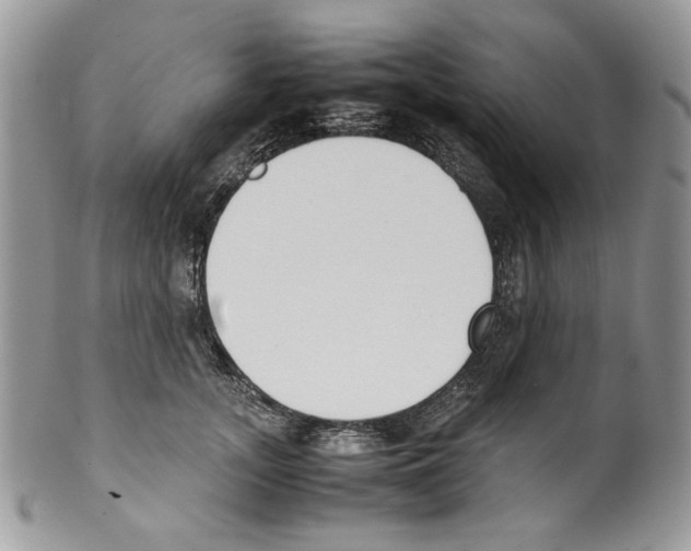 X0000099550755200806131212