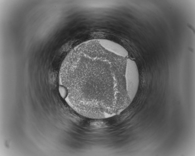 X0000099550759200806131212