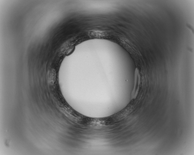 X0000099550760200806131212