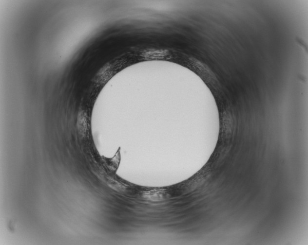 X0000099550761200806131212