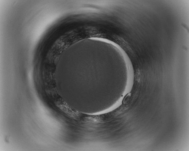 X0000099550763200806131212