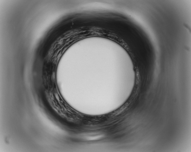 X0000099550765200806131212