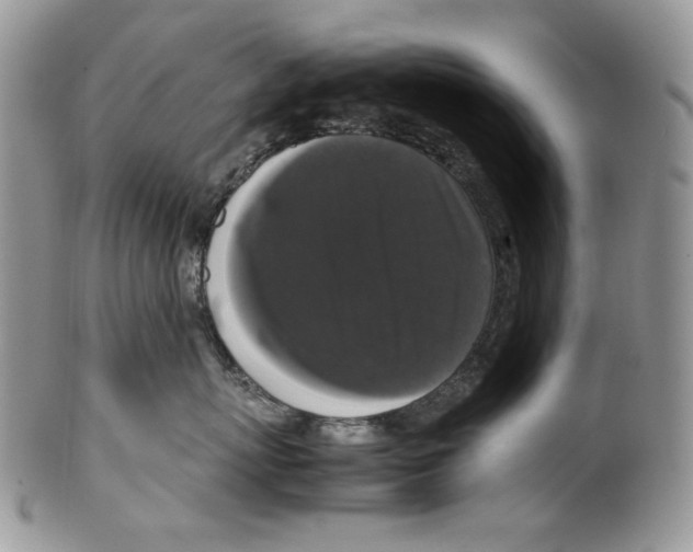 X0000099550767200806131212