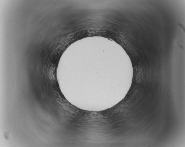 X0000099550770200806131211