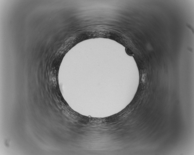 X0000099550771200806131211